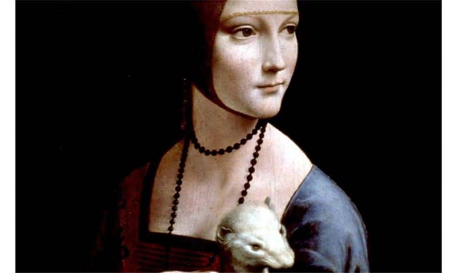 De Vinci La femme a l Hermine